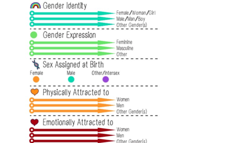California Department of Education Proposes Radical New Gender Curriculum