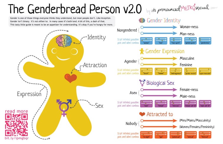 Helping Students Conceal School Absences for Abortion or Gender Counseling