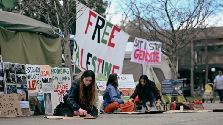 The Nitwits on Campuses Who Want an End to Israel